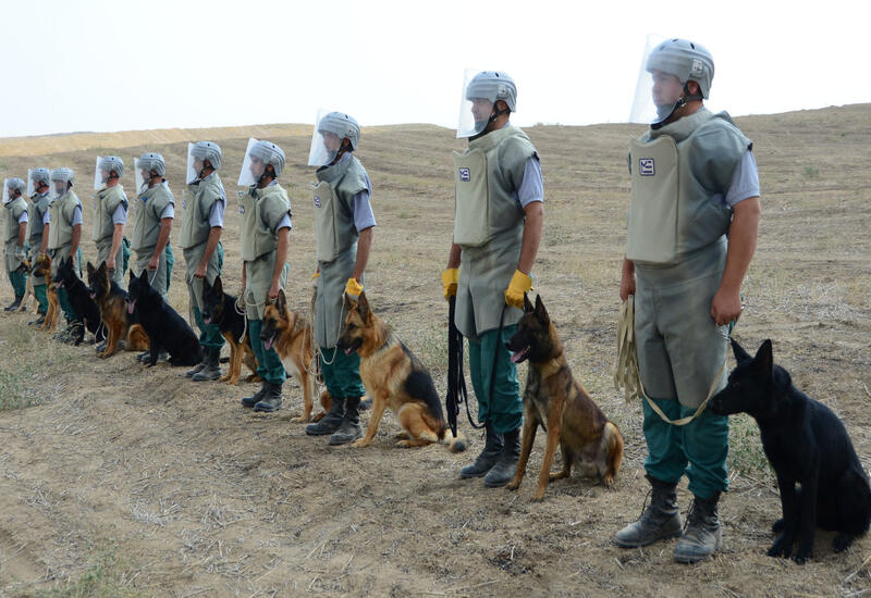 Daha 6 minaaxtaran it əməliyyatlara cəlb olunacaq