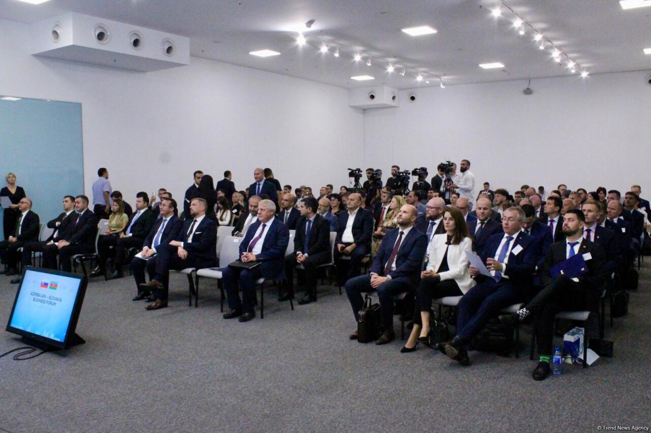 Баку принял азербайджано-словацкий бизнес-форум