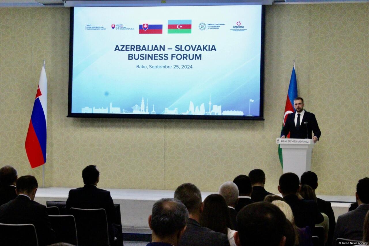 Баку принял азербайджано-словацкий бизнес-форум
