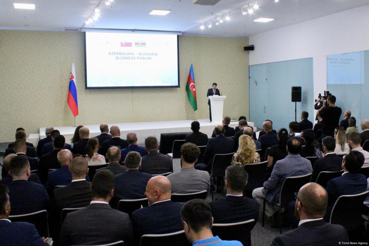 Баку принял азербайджано-словацкий бизнес-форум
