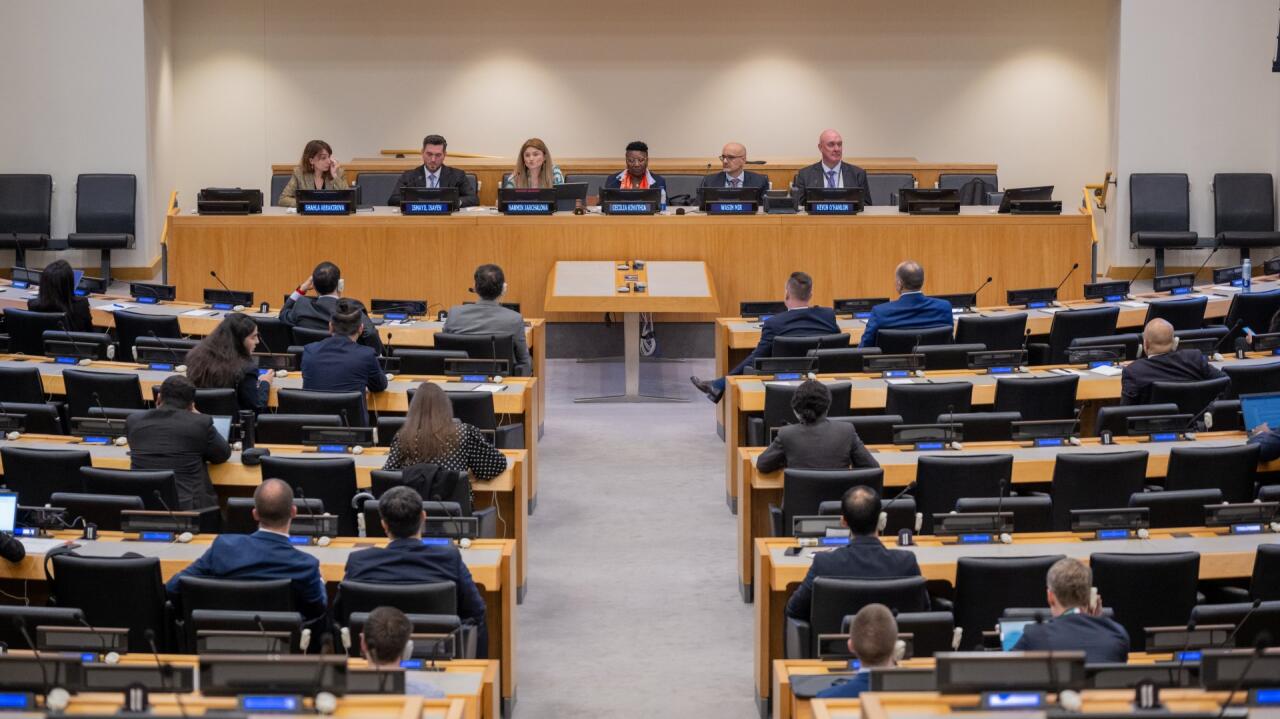 Азербайджанская операционная компания COP29 на сессии ООН и Климатической неделе