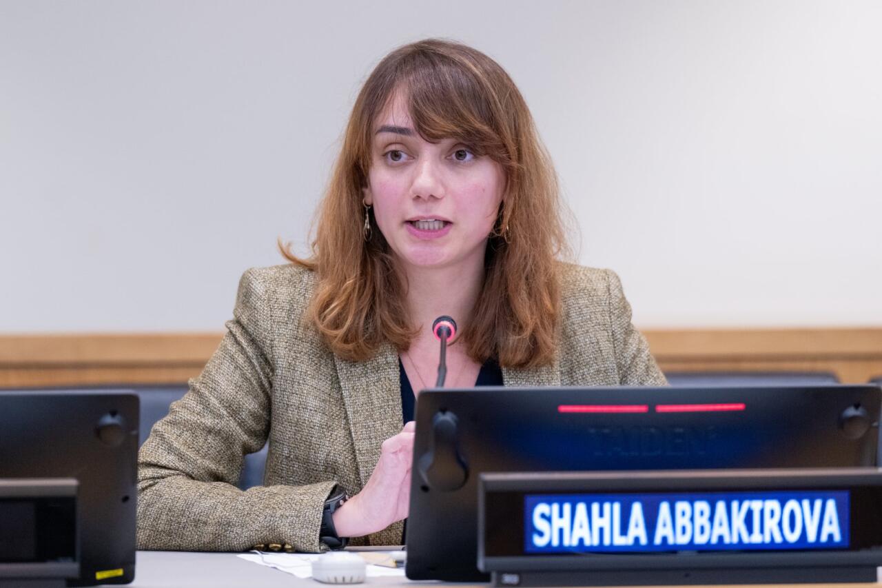 Азербайджанская операционная компания COP29 на сессии ООН и Климатической неделе