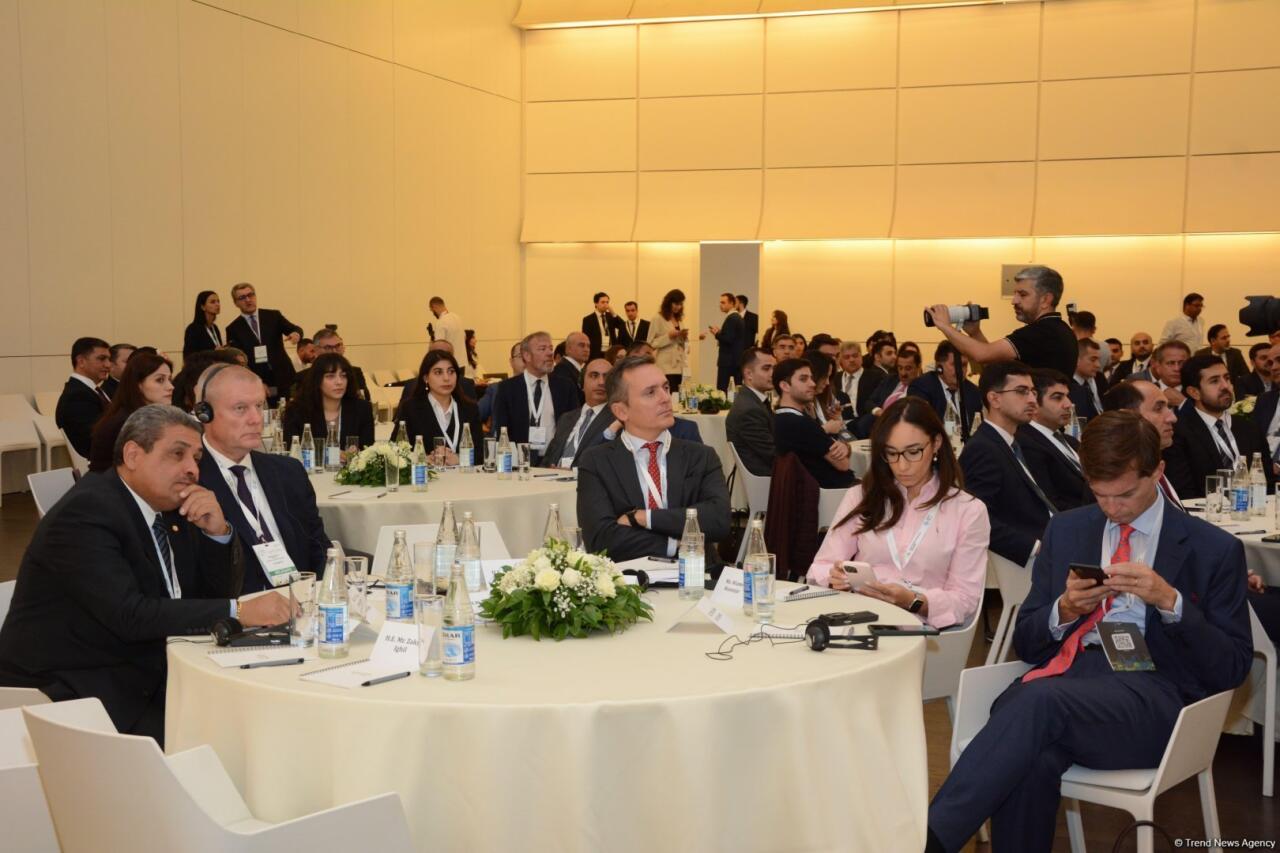 Bakıda iqlim dəyişmələri ilə mübarizə üzrə Fəaliyyət Həftəsinin birinci günü başa çatıb