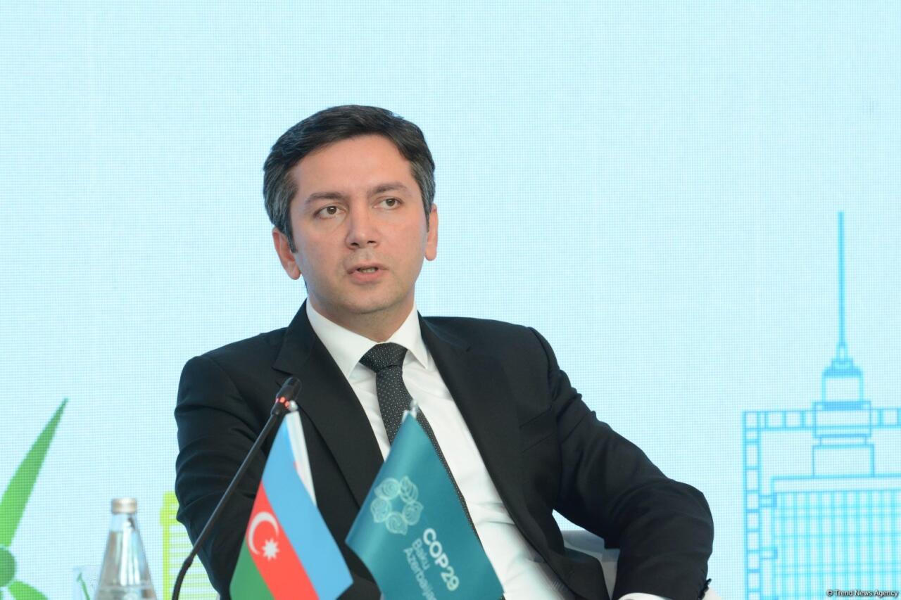 Bakıda iqlim dəyişmələri ilə mübarizə üzrə Fəaliyyət Həftəsinin birinci günü başa çatıb