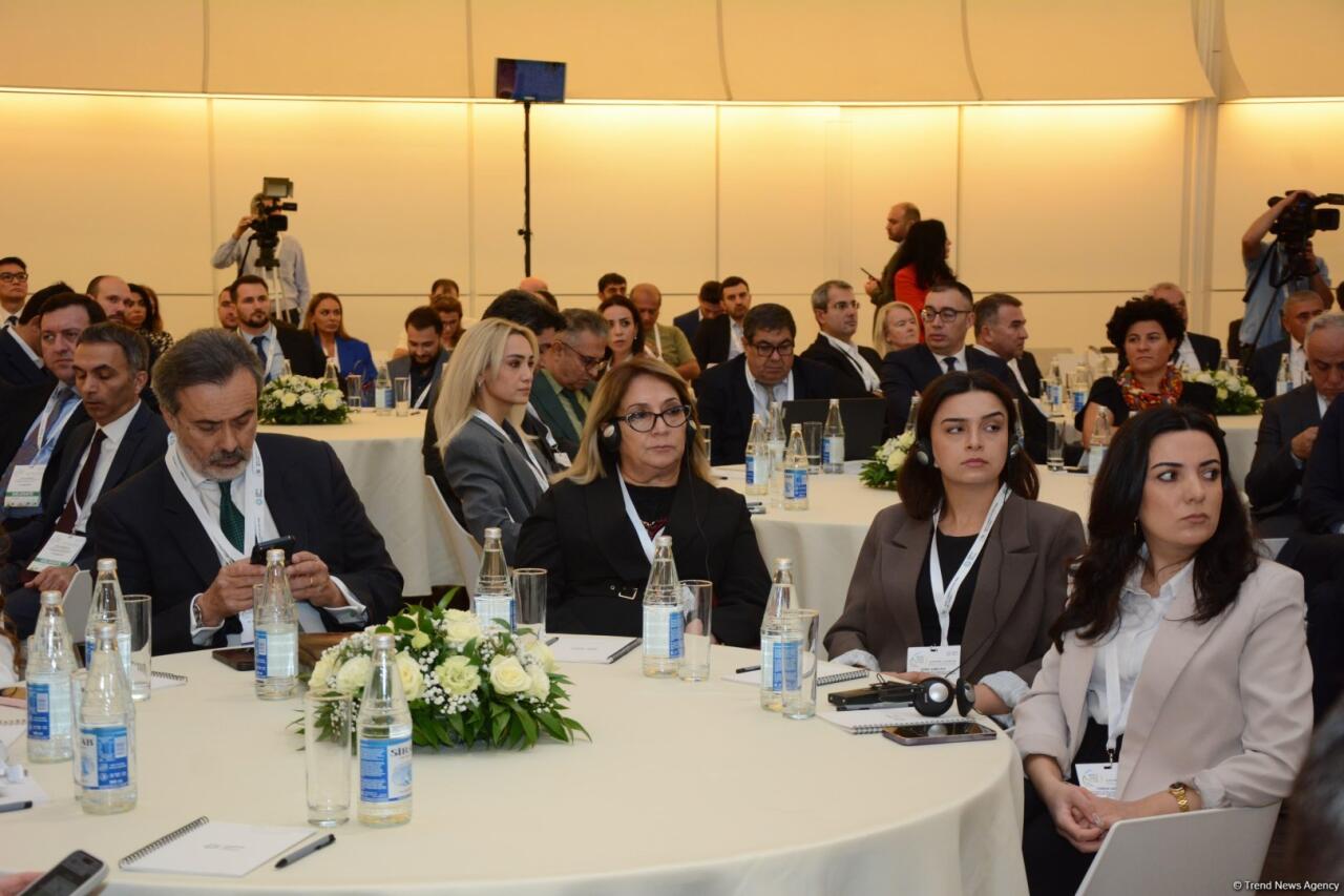 Bakıda iqlim dəyişmələri ilə mübarizə üzrə Fəaliyyət Həftəsinin birinci günü başa çatıb