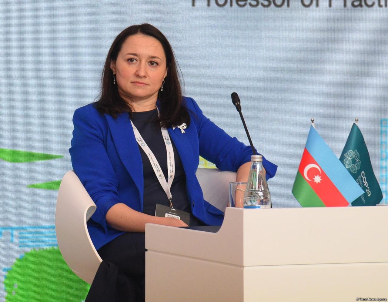 Bakıda İqlim Fəaliyyəti Həftəsinin ikinci gününə start verilib