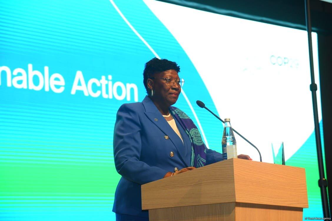 Bakıda Pre-COP-un ilk günü başa çatıb