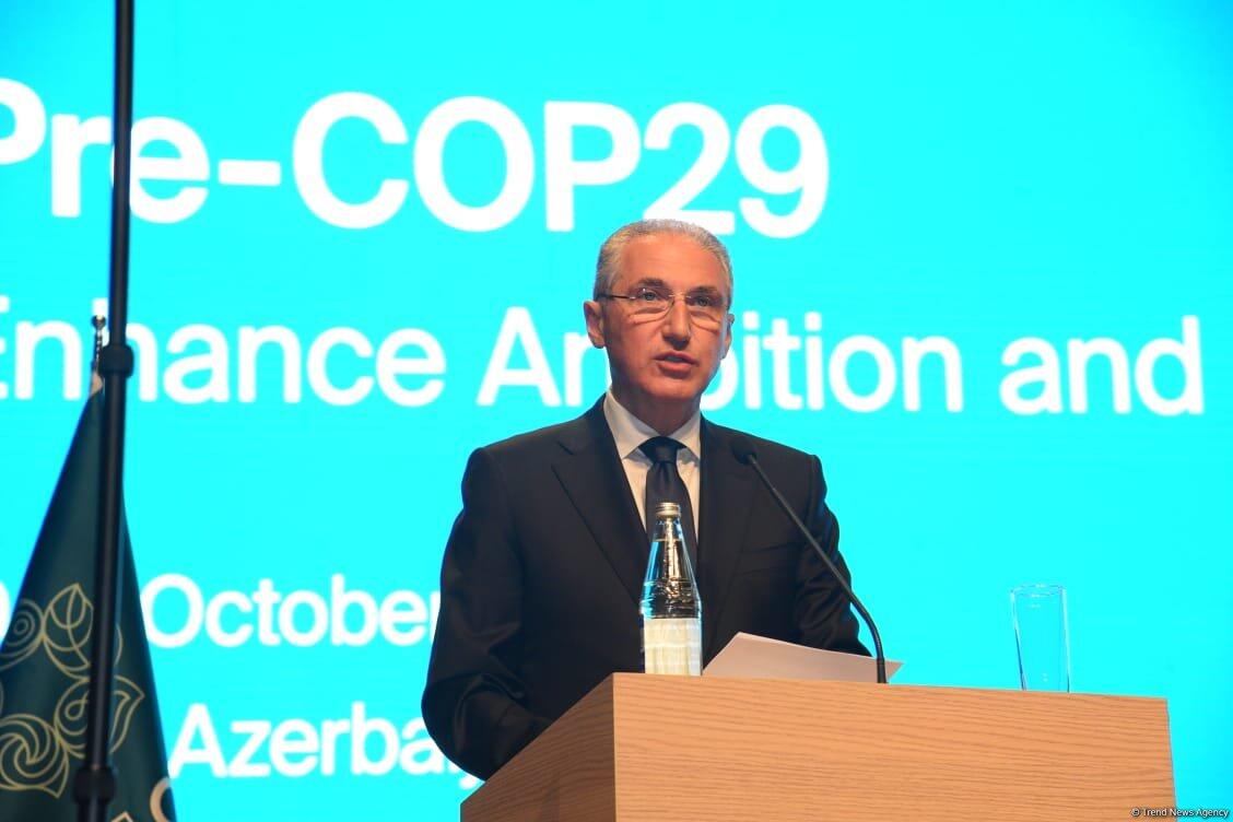 Начались дискуссии в рамках PreCOP29