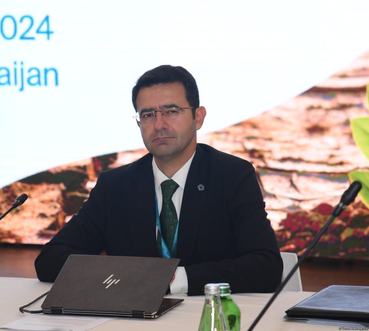 В Баку состоялся второй день Pre-COP29