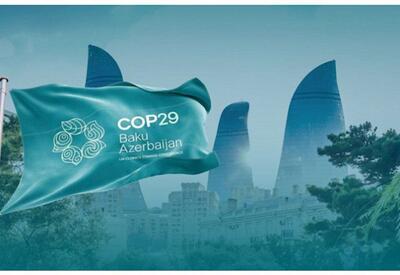 Что принесет COP29 Азербайджану:  дивиденды и перспективы