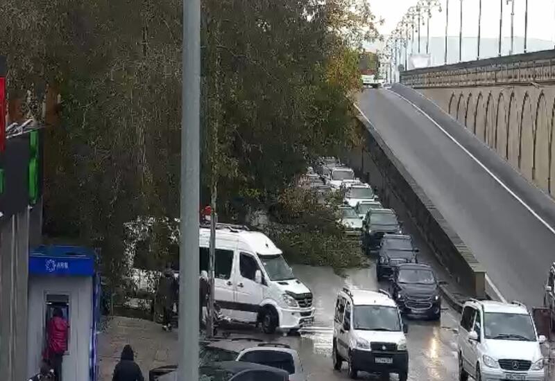 Bakının bu ərazisində ağac yola aşdı