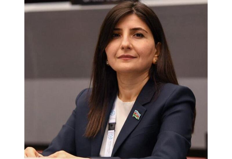 Azərbaycan və Çin arasında münasibətlər son illərdə strateji tərəfdaşlıq səviyyəsinə yüksəlib