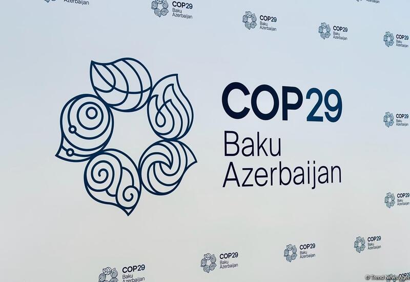 Более 3 тыс. журналистов зарегистрировались для участия в СОР29