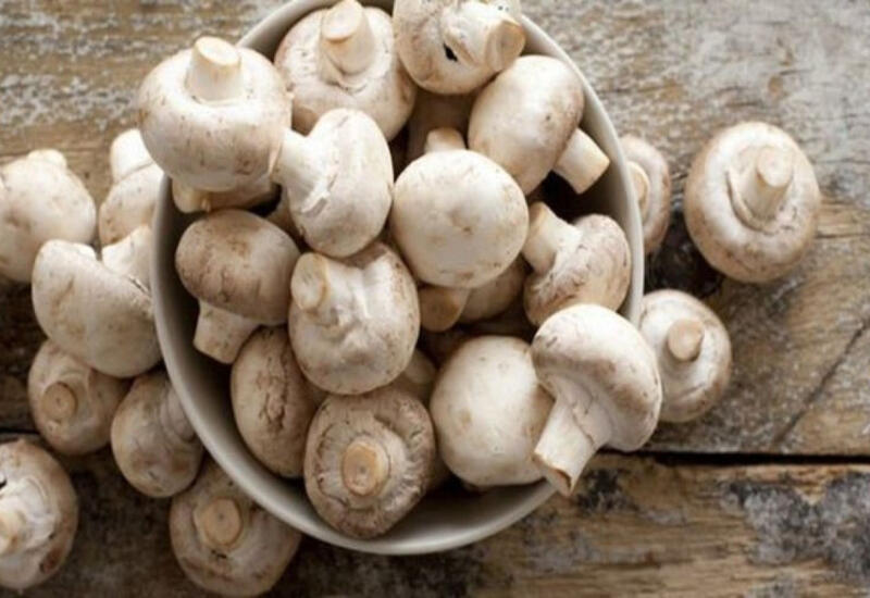 Azərbaycanda iki nəfər göbələkdən zəhərlənərək ölüb