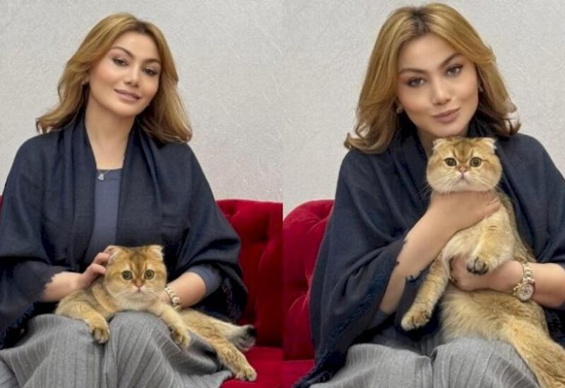 Ruhinin pişiyinə işgəncə verdilər