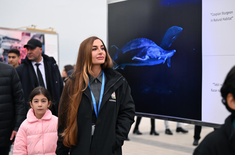Вице-президент Фонда Гейдара Алиева Лейла Алиева и руководитель Баку медиа центра Арзу Алиева приняли участие в презентации международного проекта по защите морских видов