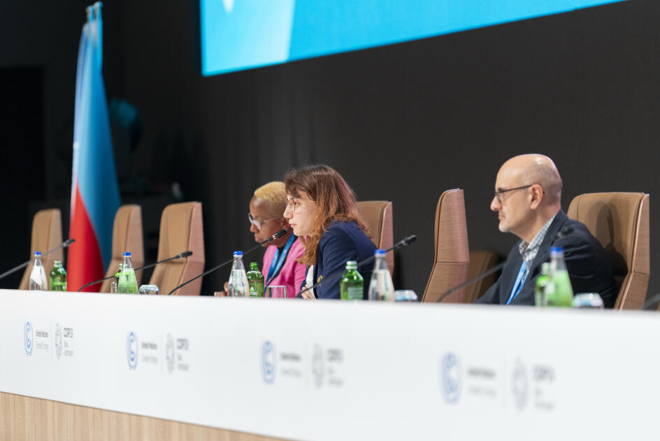 Для делегаций COP29 был организован логистический брифинг