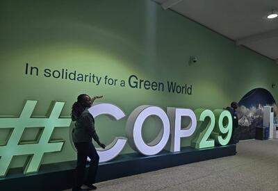COP29: Баку в центре внимания мира - АНАЛИЗ от Baku Network
