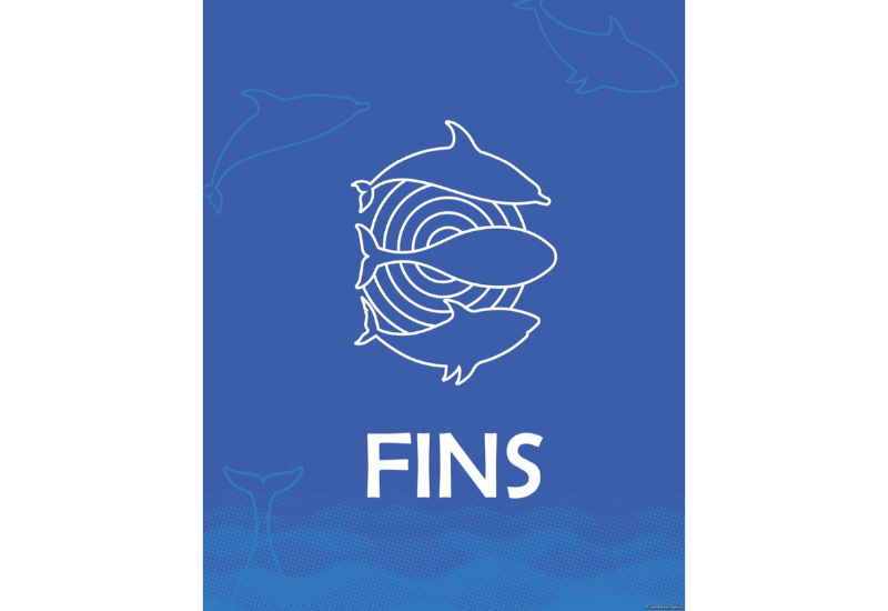 FINS Initiative на COP29 :