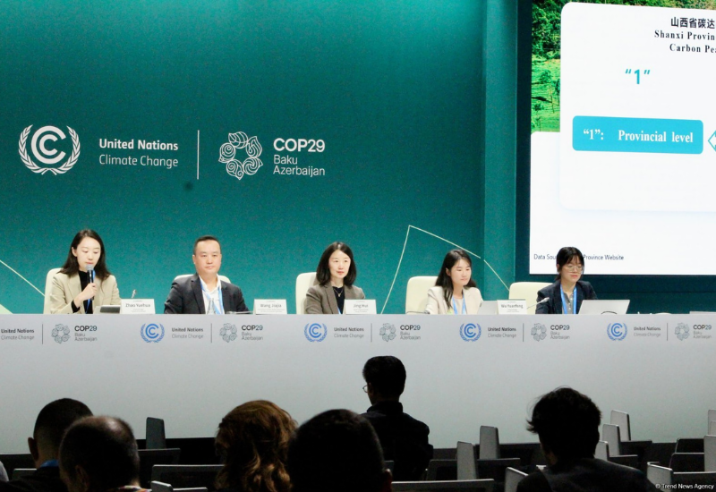 На COP29 прошла дискуссия о субнациональных действиях по изменению климата
