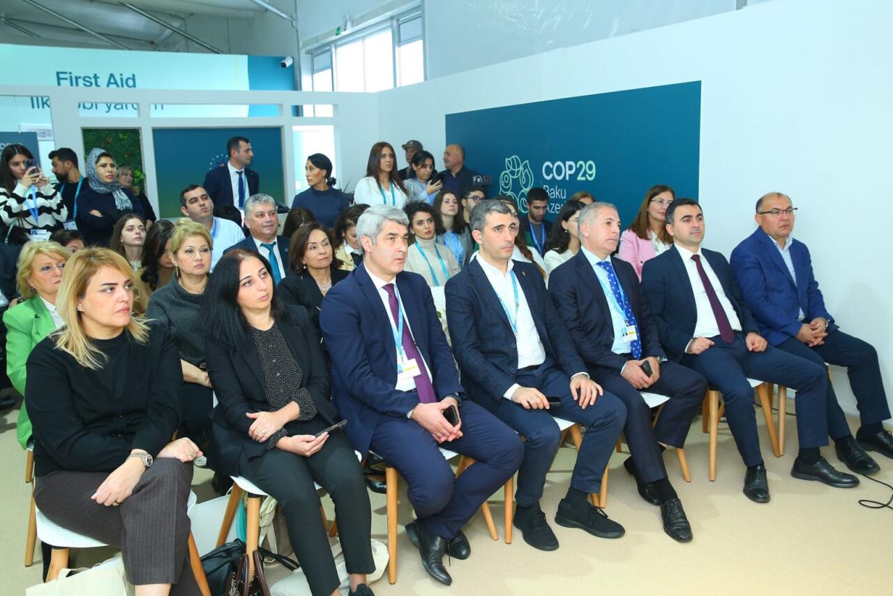Эко-социальный центр "Экосфера" представил свои программы на COP29