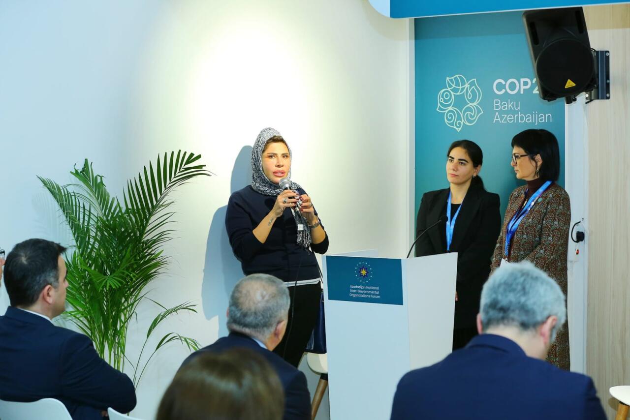 Эко-социальный центр "Экосфера" представил свои программы на COP29
