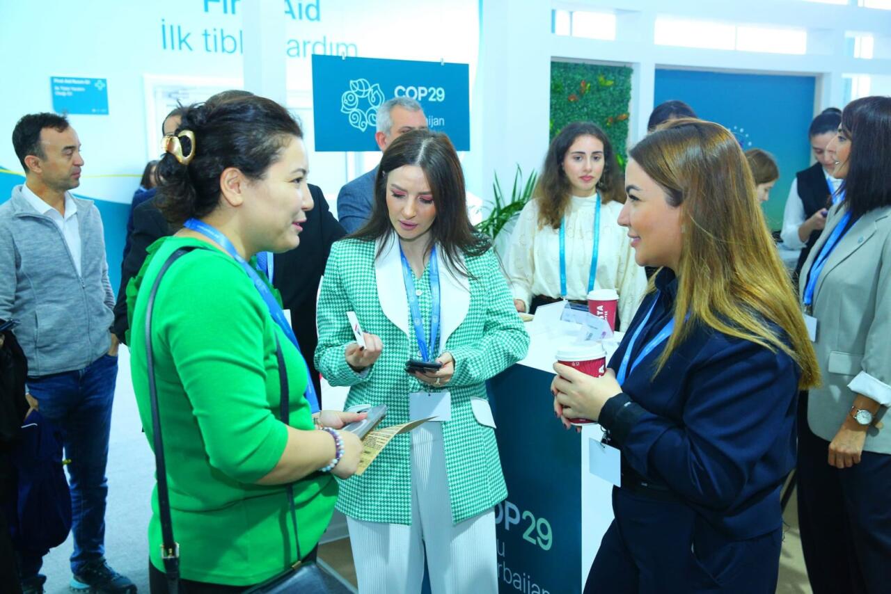 Эко-социальный центр "Экосфера" представил свои программы на COP29