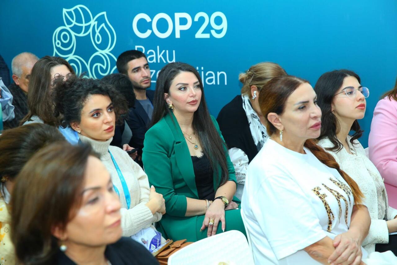 Эко-социальный центр "Экосфера" представил свои программы на COP29
