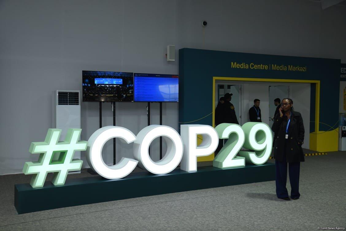 Фоторепортаж с COP29 в Баку