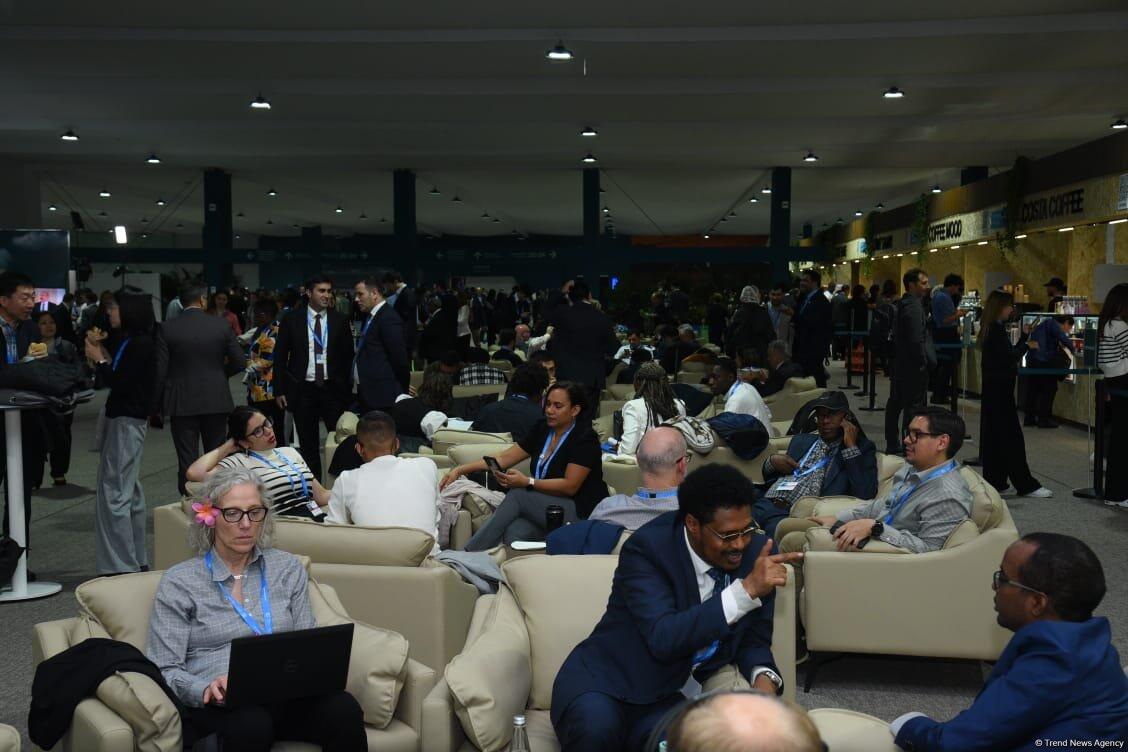 Фоторепортаж с COP29 в Баку