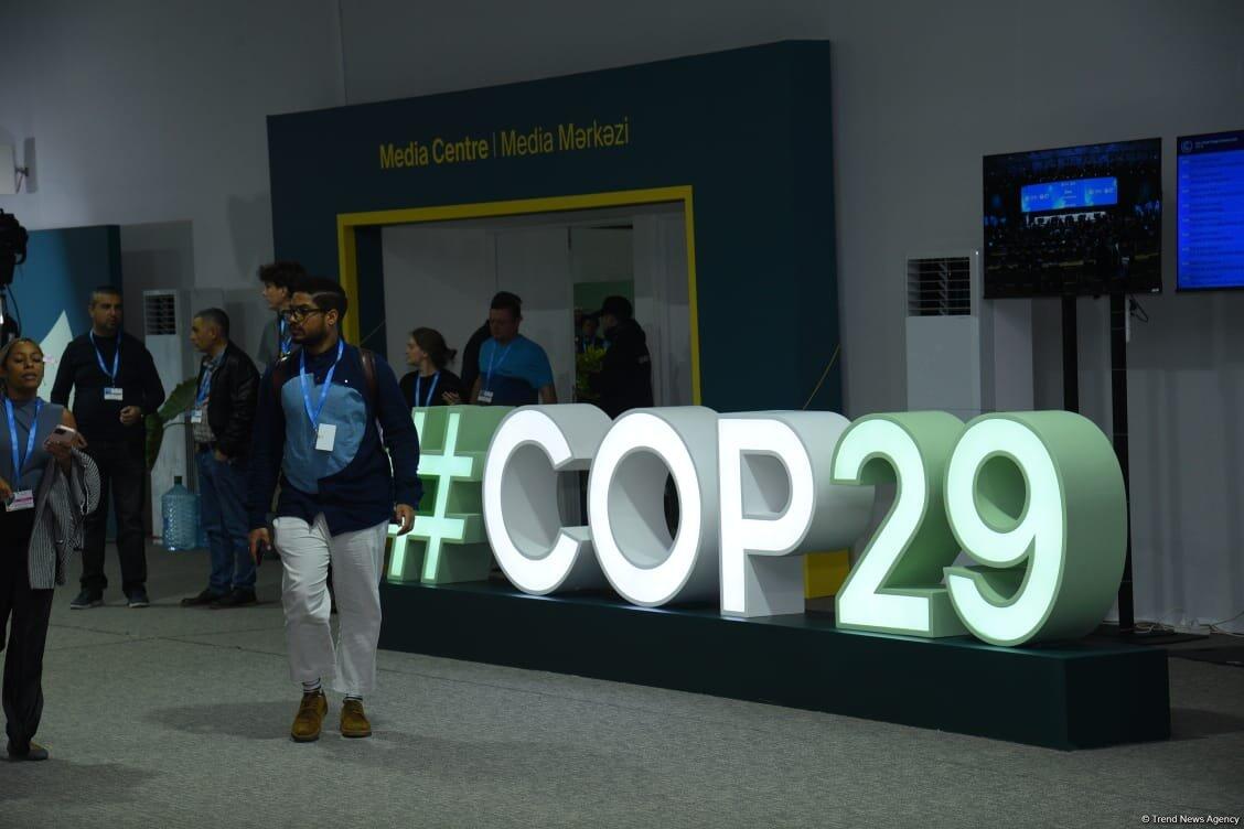 Фоторепортаж с COP29 в Баку