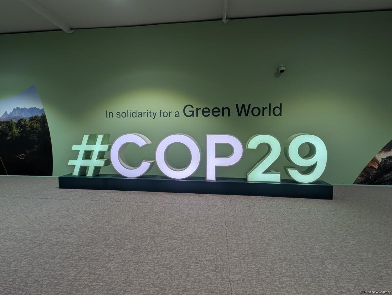 В Баку состоялась церемония открытия конференции COP29