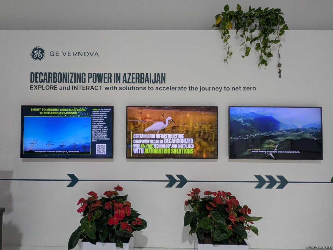 В Баку состоялась церемония открытия конференции COP29