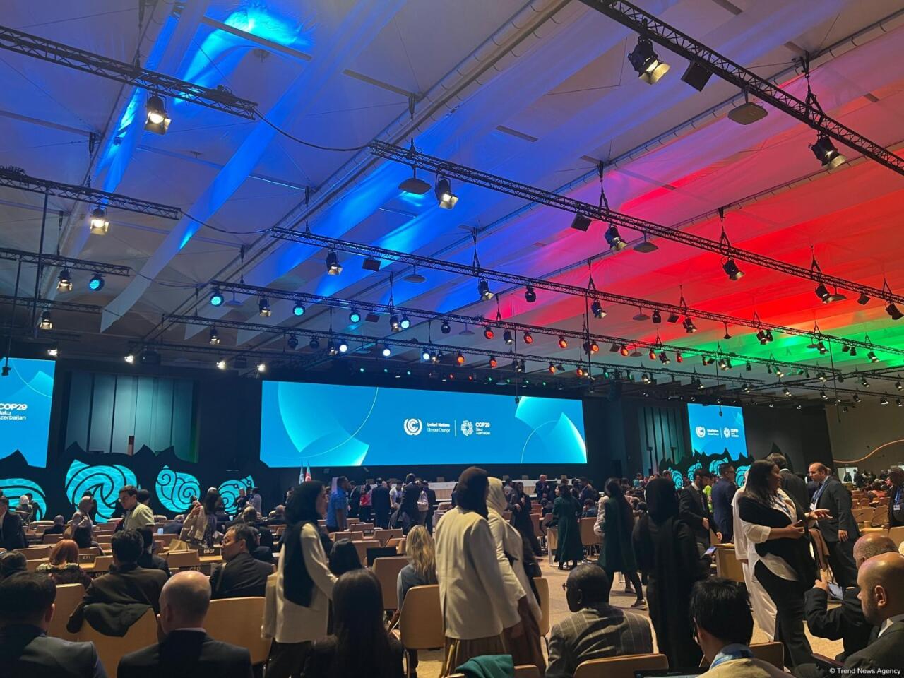 В Баку состоялась церемония открытия конференции COP29