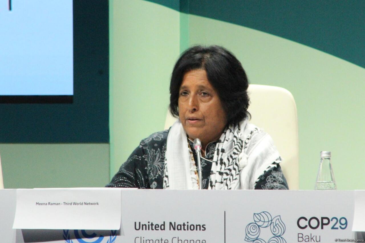 В Баку прошла пресс-конференция в рамках COP29
