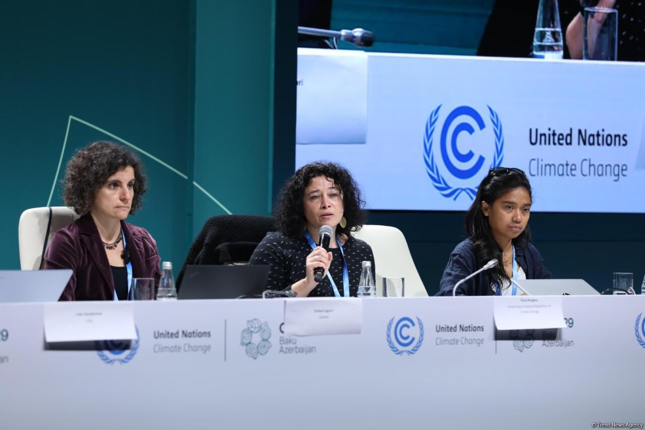 В Баку прошла пресс-конференция в рамках COP29