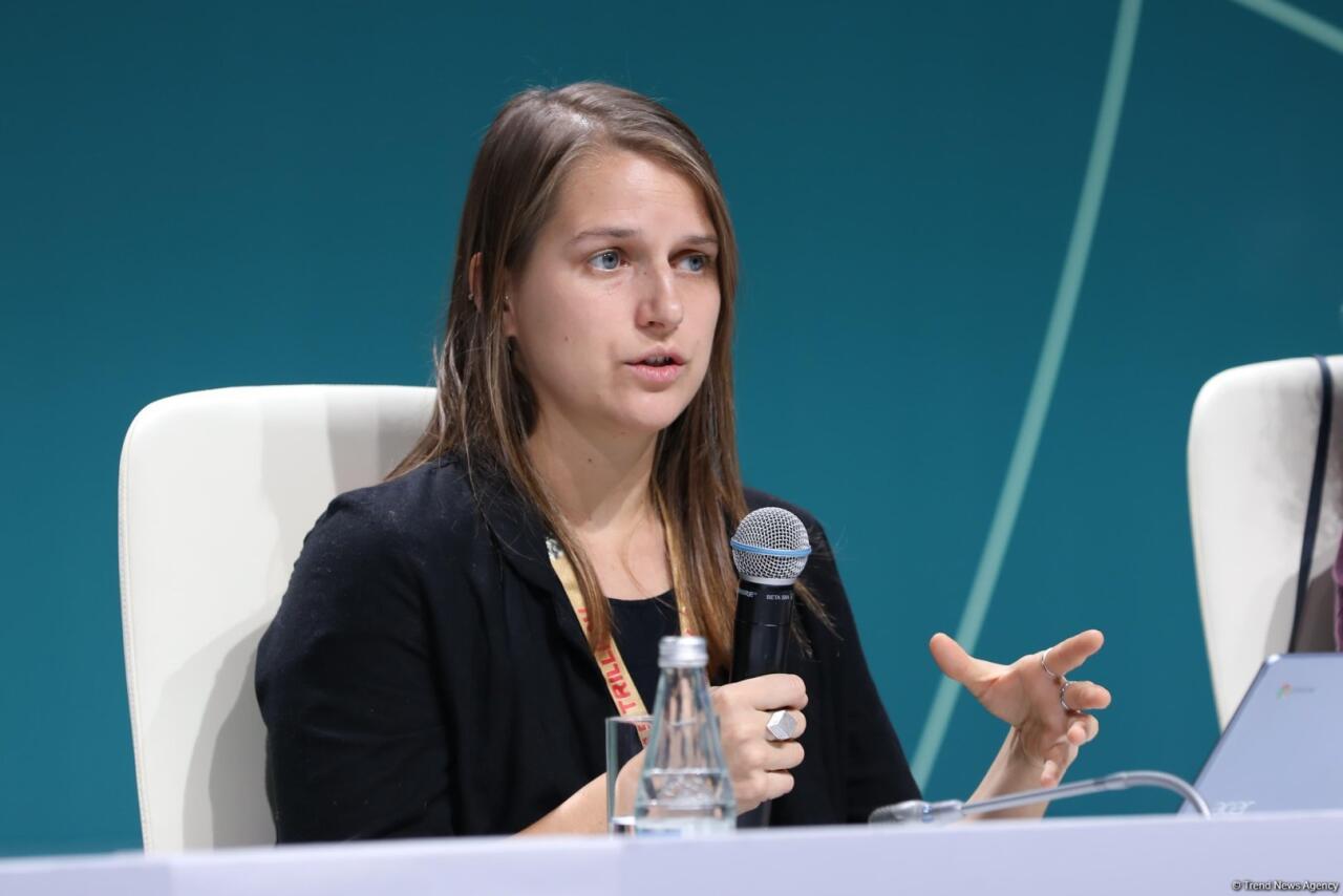 В Баку прошла пресс-конференция в рамках COP29