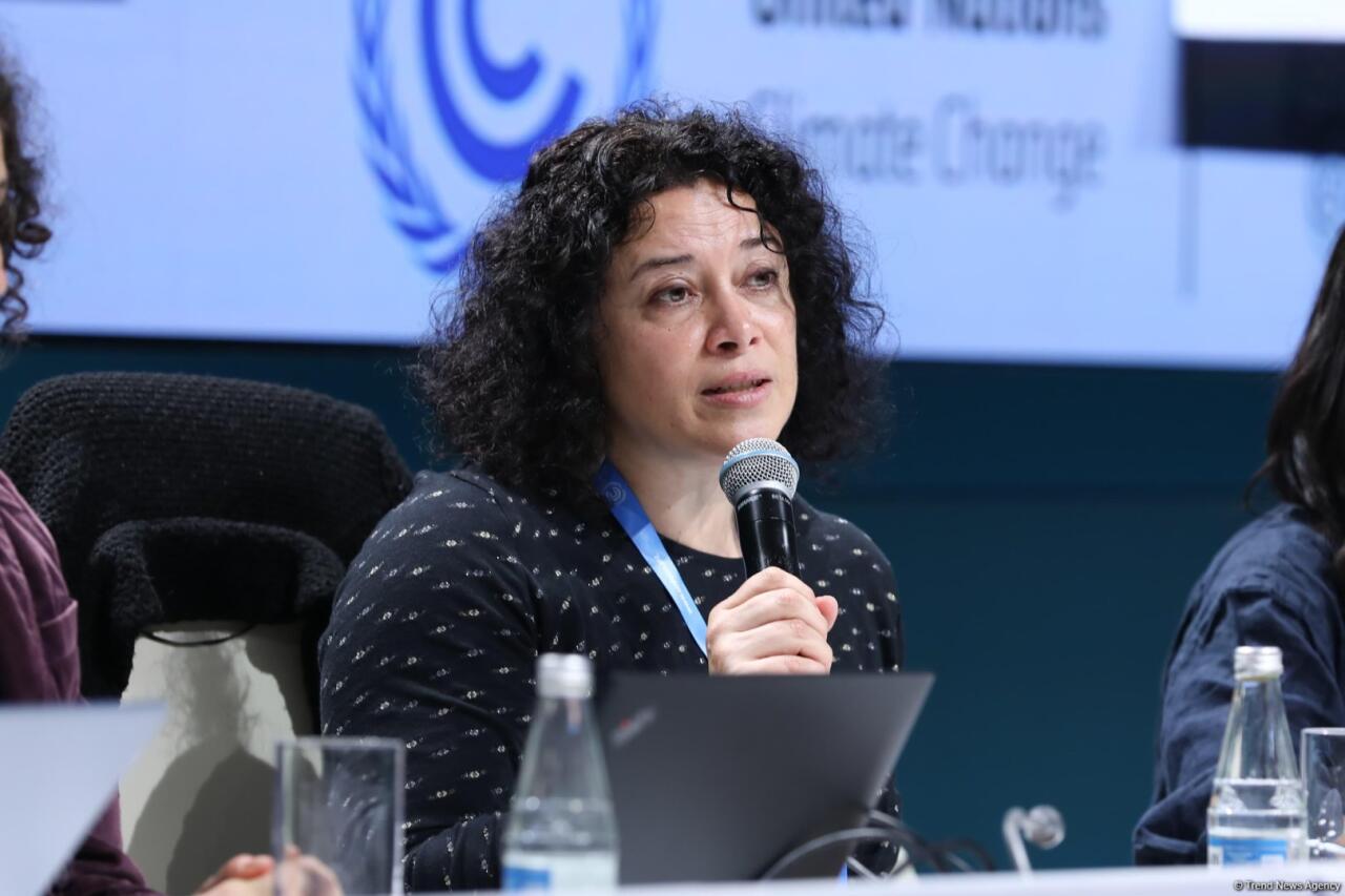 В Баку прошла пресс-конференция в рамках COP29