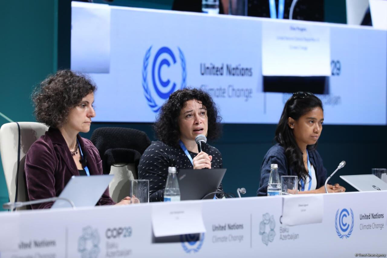 В Баку прошла пресс-конференция в рамках COP29