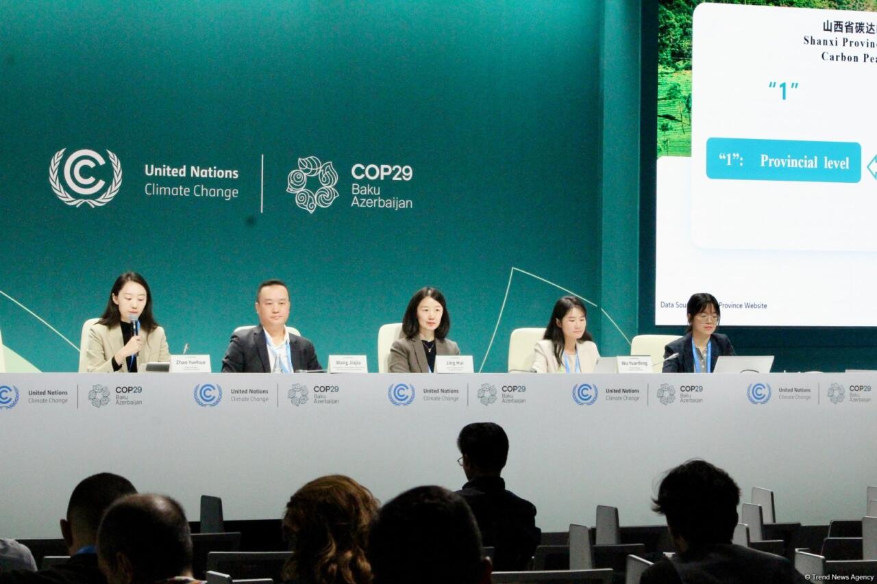 На COP29 прошла дискуссия о субнациональных действиях по изменению климата