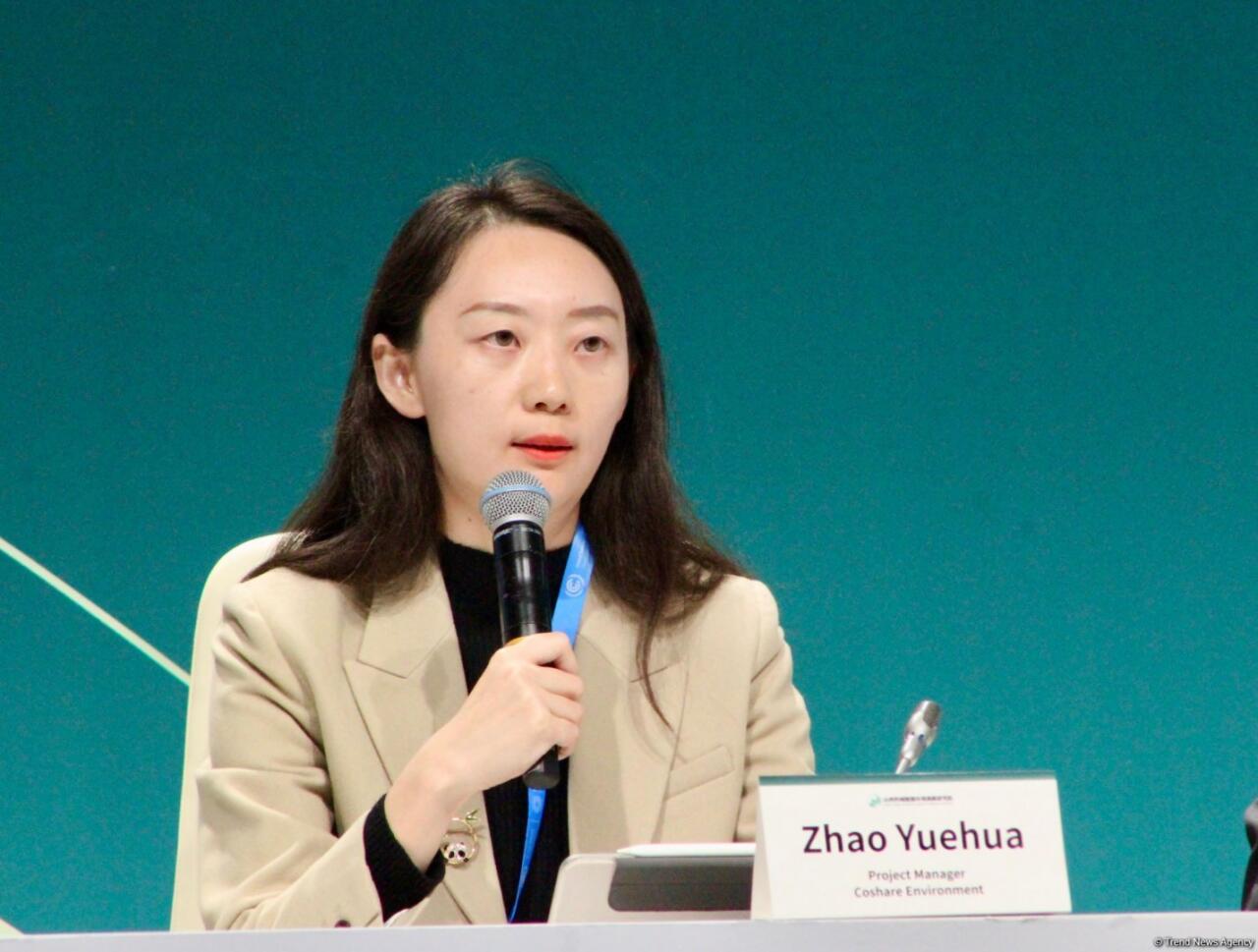 На COP29 прошла дискуссия о субнациональных действиях по изменению климата