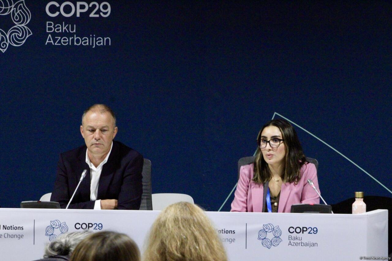 COP29 çərçivəsində “UNFCCC: Paris Sazişinin Kredit Mexanizmi ilə Karbon Bazarlarında Dürüstlüyün İnkişafı” adlı panel müzakirəsi keçirilib