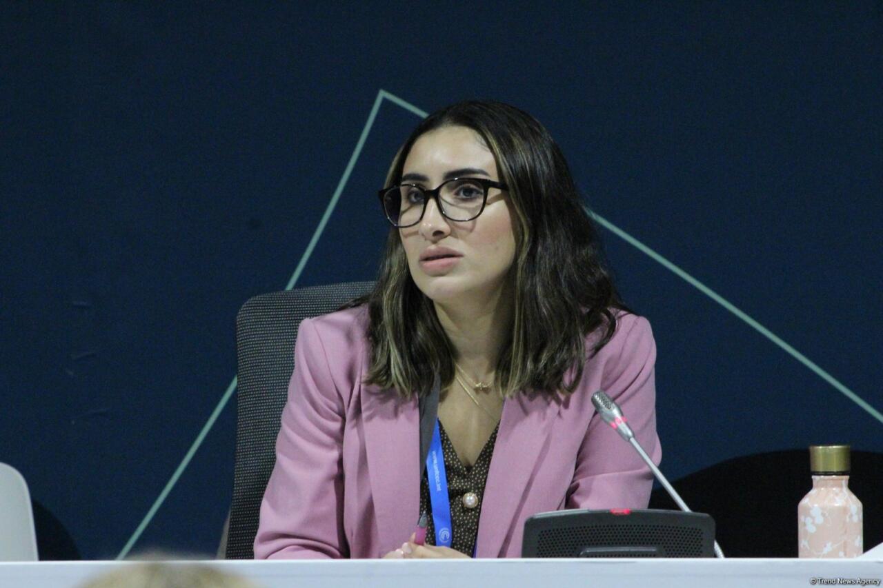 COP29 çərçivəsində “UNFCCC: Paris Sazişinin Kredit Mexanizmi ilə Karbon Bazarlarında Dürüstlüyün İnkişafı” adlı panel müzakirəsi keçirilib