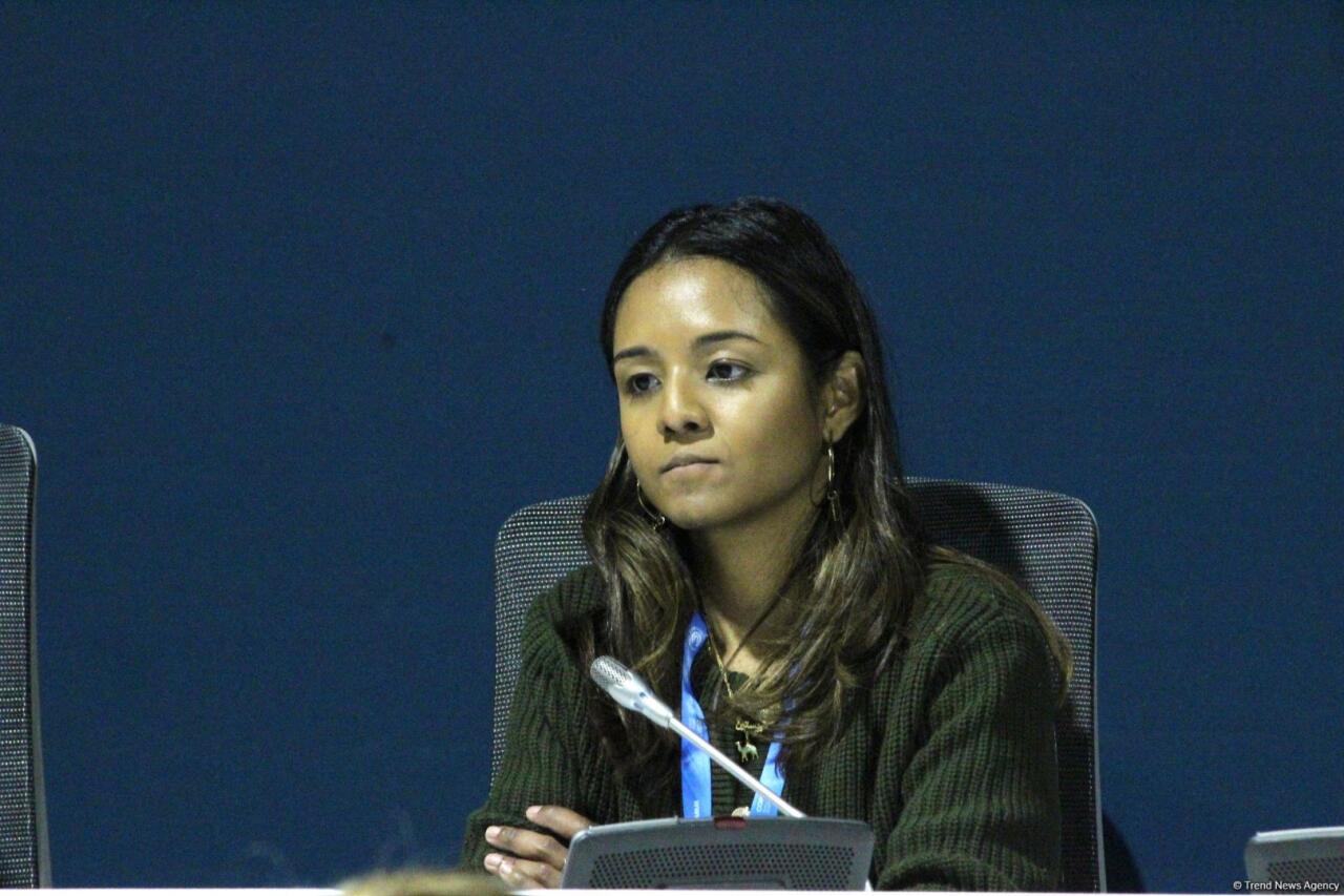 COP29 çərçivəsində “UNFCCC: Paris Sazişinin Kredit Mexanizmi ilə Karbon Bazarlarında Dürüstlüyün İnkişafı” adlı panel müzakirəsi keçirilib