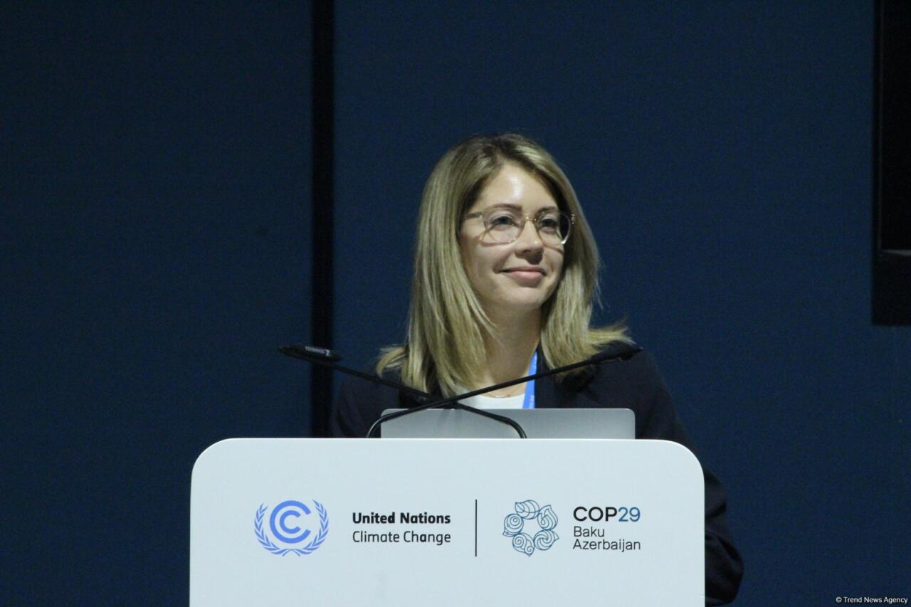 COP29 çərçivəsində “UNFCCC: Paris Sazişinin Kredit Mexanizmi ilə Karbon Bazarlarında Dürüstlüyün İnkişafı” adlı panel müzakirəsi keçirilib