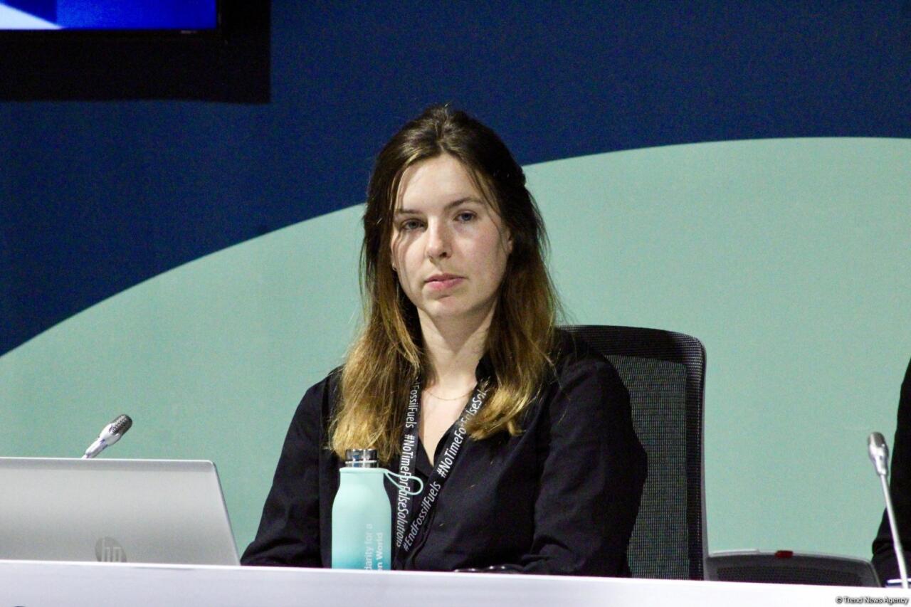 COP29 çərçivəsində “UNFCCC: Paris Sazişinin Kredit Mexanizmi ilə Karbon Bazarlarında Dürüstlüyün İnkişafı” adlı panel müzakirəsi keçirilib
