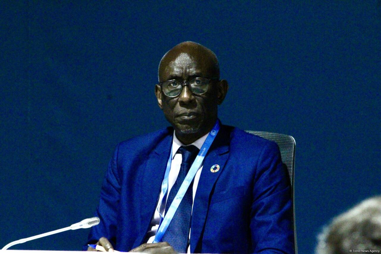 COP29 çərçivəsində “UNFCCC: Paris Sazişinin Kredit Mexanizmi ilə Karbon Bazarlarında Dürüstlüyün İnkişafı” adlı panel müzakirəsi keçirilib