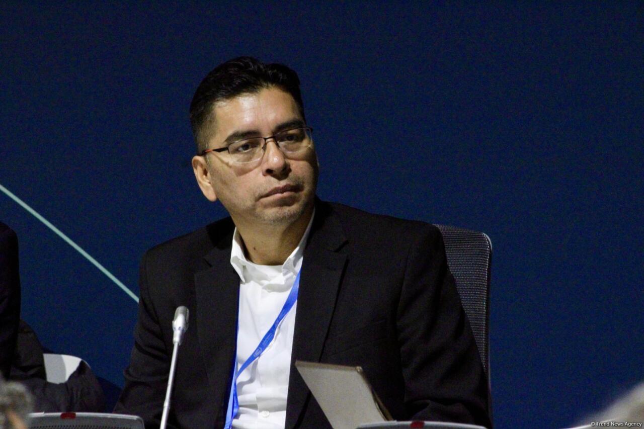 COP29 çərçivəsində “UNFCCC: Paris Sazişinin Kredit Mexanizmi ilə Karbon Bazarlarında Dürüstlüyün İnkişafı” adlı panel müzakirəsi keçirilib