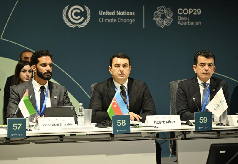 COP29 çərçivəsində Mədəniyyət Nazirlərinin 2-ci Yüksək Səviyyəli Görüşü təşkil edilib