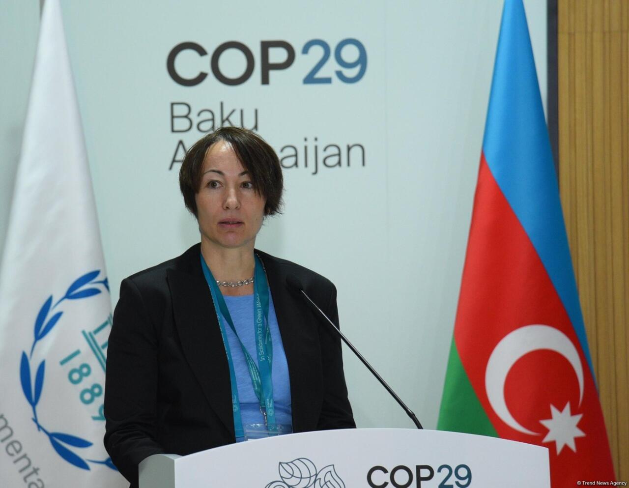 В Баку завершилась Парламентская встреча в рамках COP29